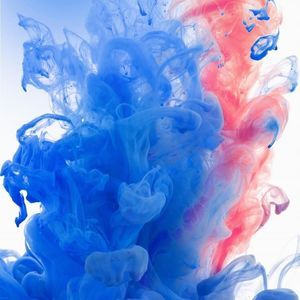 Meet your Posher, Avery